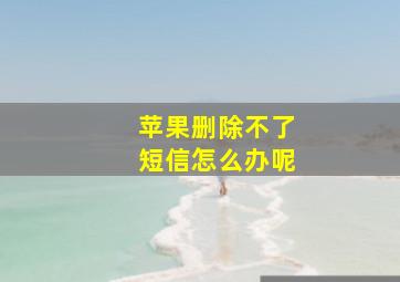 苹果删除不了短信怎么办呢