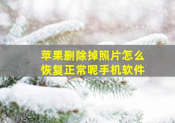 苹果删除掉照片怎么恢复正常呢手机软件