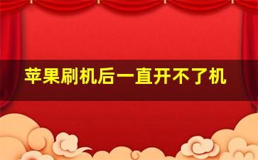 苹果刷机后一直开不了机