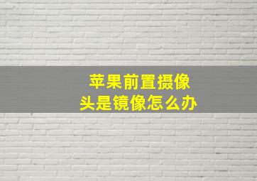 苹果前置摄像头是镜像怎么办