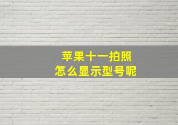 苹果十一拍照怎么显示型号呢