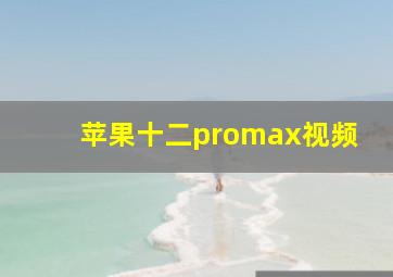 苹果十二promax视频