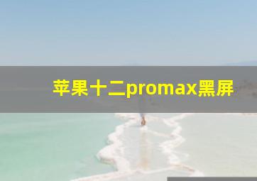 苹果十二promax黑屏