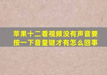 苹果十二看视频没有声音要按一下音量键才有怎么回事