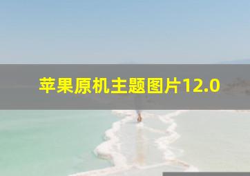 苹果原机主题图片12.0