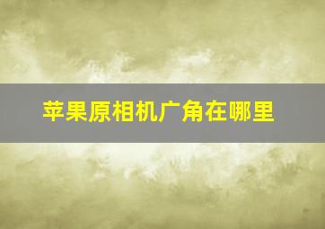 苹果原相机广角在哪里