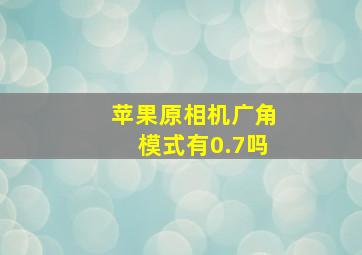 苹果原相机广角模式有0.7吗