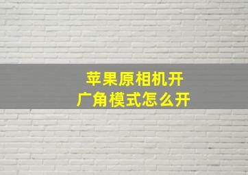 苹果原相机开广角模式怎么开