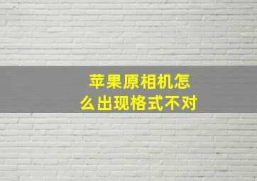 苹果原相机怎么出现格式不对