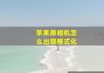 苹果原相机怎么出现格式化