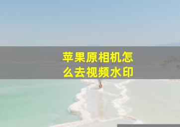 苹果原相机怎么去视频水印