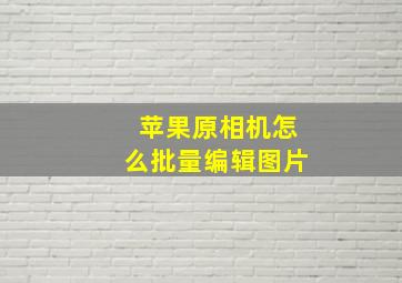 苹果原相机怎么批量编辑图片