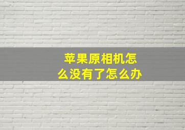 苹果原相机怎么没有了怎么办