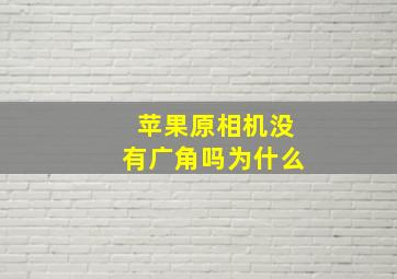 苹果原相机没有广角吗为什么