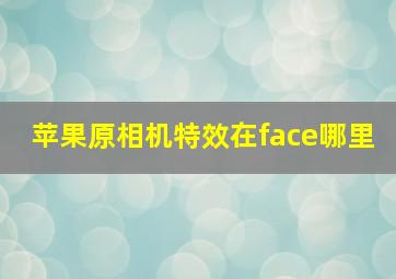 苹果原相机特效在face哪里