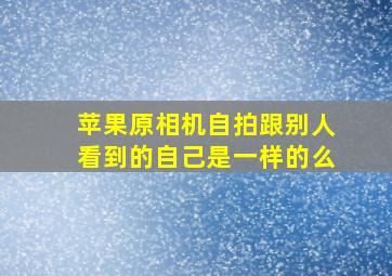 苹果原相机自拍跟别人看到的自己是一样的么