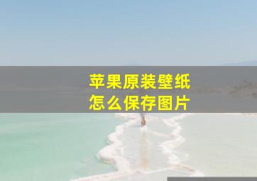 苹果原装壁纸怎么保存图片