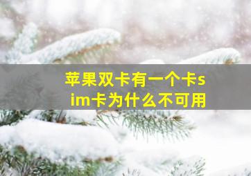 苹果双卡有一个卡sim卡为什么不可用