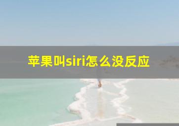 苹果叫siri怎么没反应