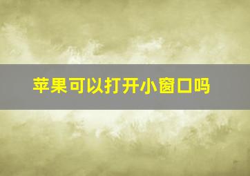 苹果可以打开小窗口吗