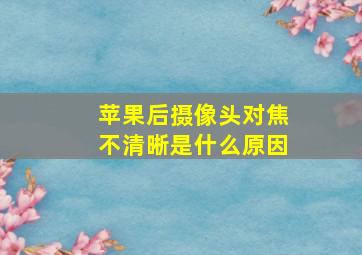 苹果后摄像头对焦不清晰是什么原因