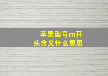 苹果型号m开头含义什么意思