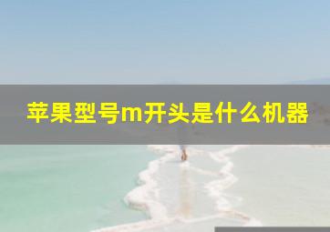 苹果型号m开头是什么机器