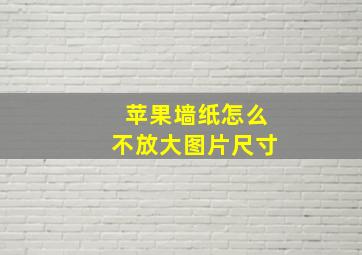 苹果墙纸怎么不放大图片尺寸