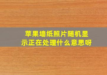 苹果墙纸照片随机显示正在处理什么意思呀