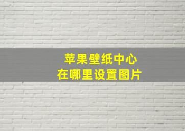 苹果壁纸中心在哪里设置图片