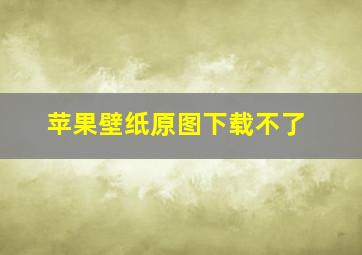 苹果壁纸原图下载不了