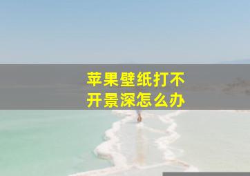 苹果壁纸打不开景深怎么办