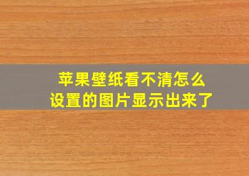 苹果壁纸看不清怎么设置的图片显示出来了