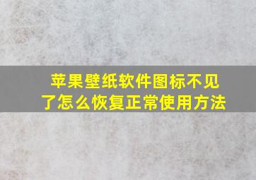 苹果壁纸软件图标不见了怎么恢复正常使用方法