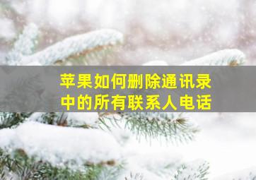 苹果如何删除通讯录中的所有联系人电话