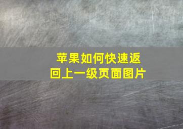 苹果如何快速返回上一级页面图片