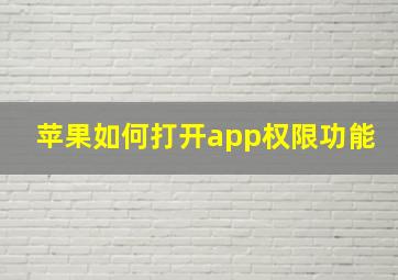 苹果如何打开app权限功能