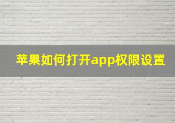 苹果如何打开app权限设置