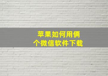 苹果如何用俩个微信软件下载