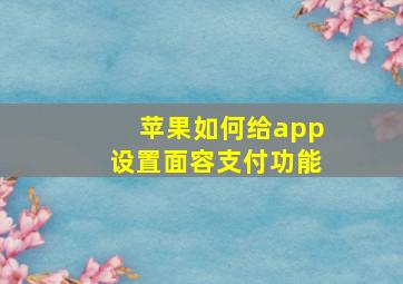 苹果如何给app设置面容支付功能