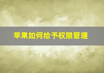 苹果如何给予权限管理