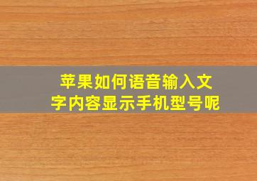 苹果如何语音输入文字内容显示手机型号呢