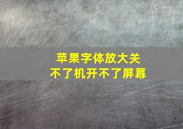 苹果字体放大关不了机开不了屏幕