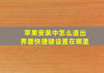 苹果安装中怎么退出界面快捷键设置在哪里