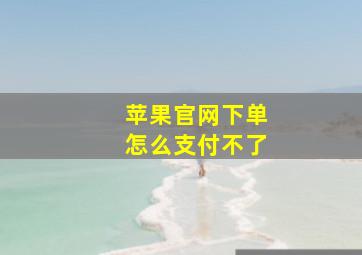 苹果官网下单怎么支付不了