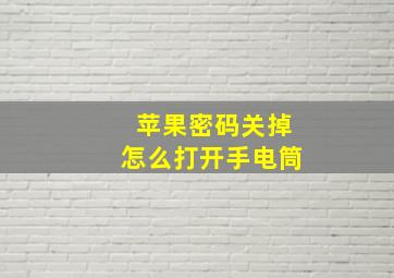 苹果密码关掉怎么打开手电筒