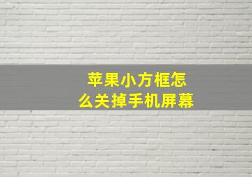 苹果小方框怎么关掉手机屏幕