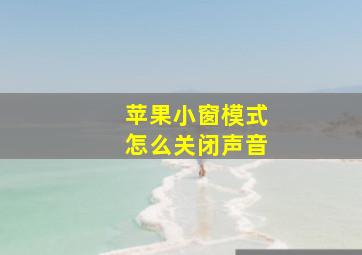 苹果小窗模式怎么关闭声音