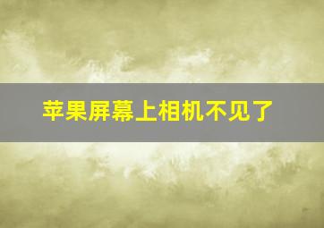 苹果屏幕上相机不见了