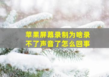 苹果屏幕录制为啥录不了声音了怎么回事